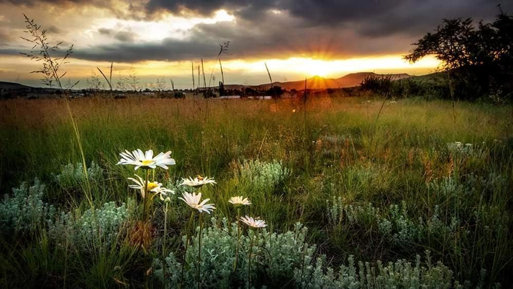 Wetlands Country House & Sheds Wakkerstroom Exteriér fotografie