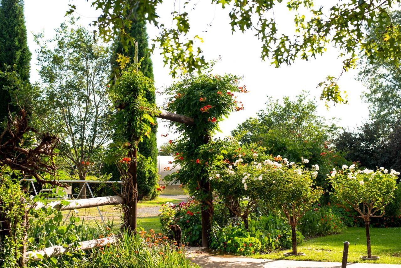 Wetlands Country House & Sheds Wakkerstroom Exteriér fotografie